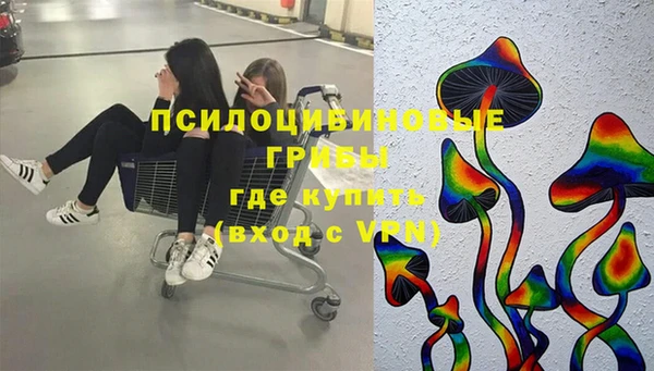 не бодяженный Абаза