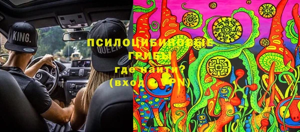 мяу мяу мука Абинск